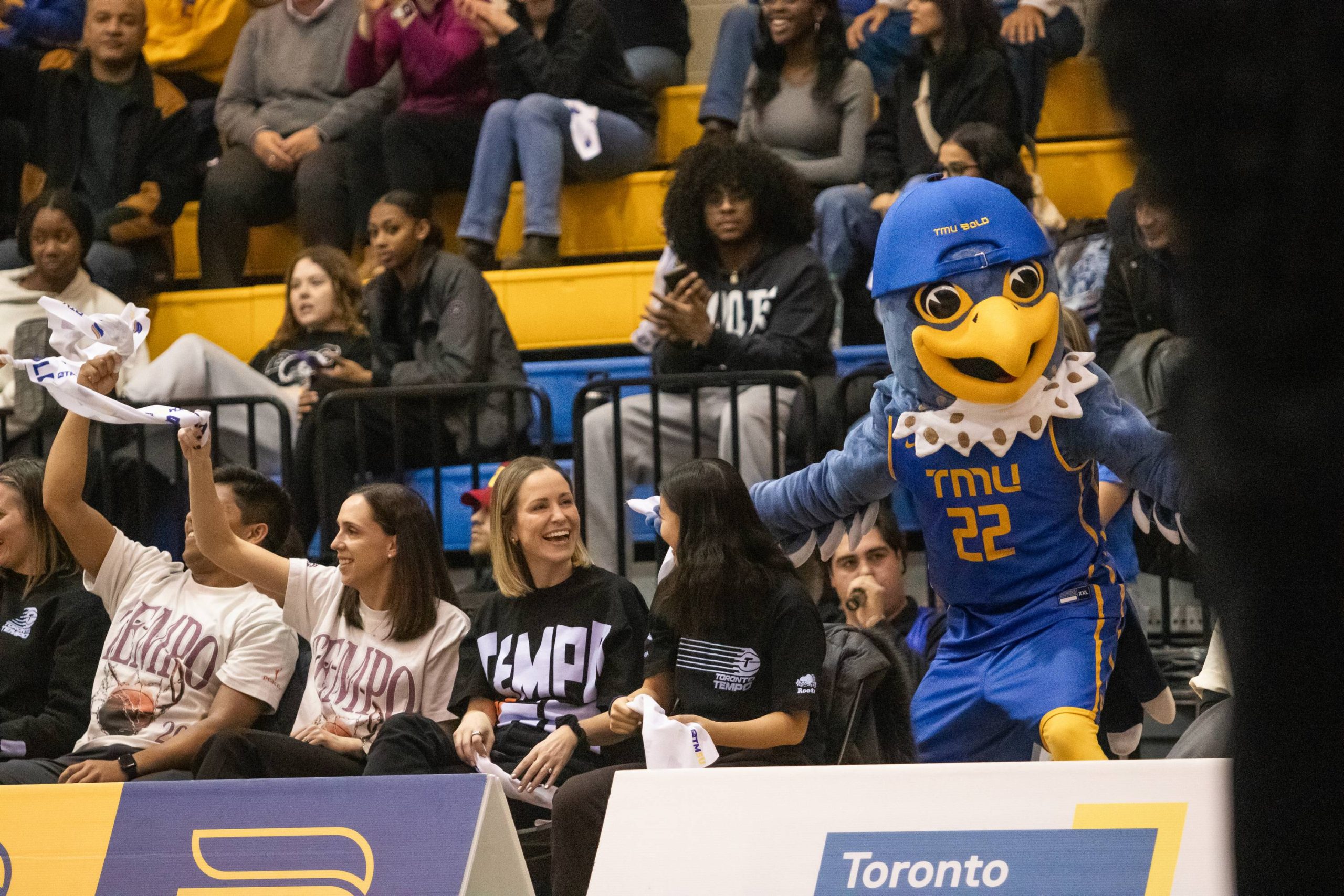 Toronto Tempo's president in the courtside at the MAC in a women's basketball game