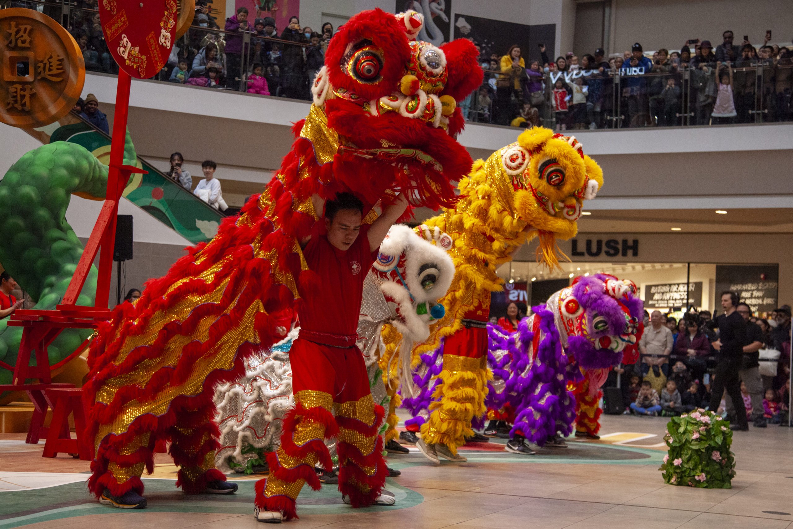 Leaping lion: The art, tradition and future of lion dancing