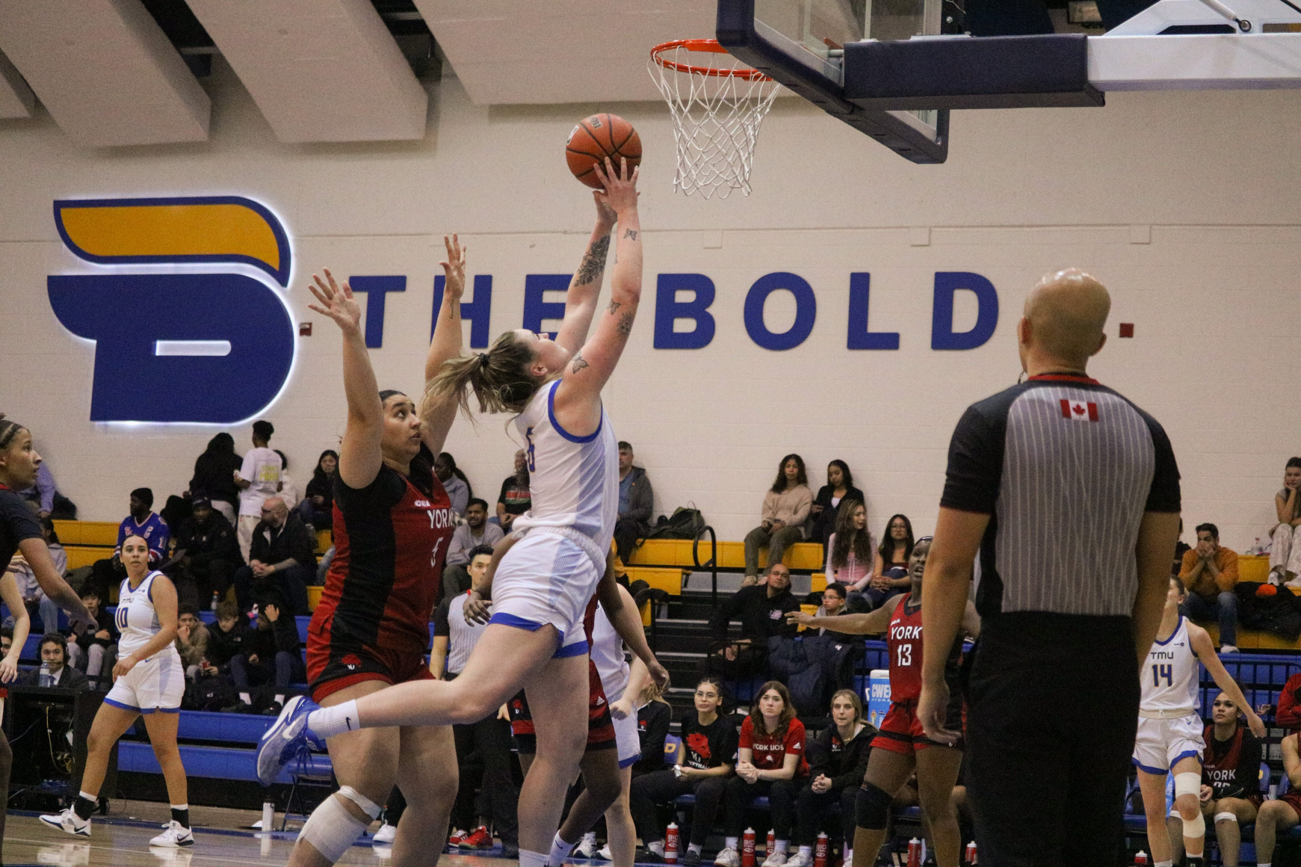 Haley Fedick jumping to score two points