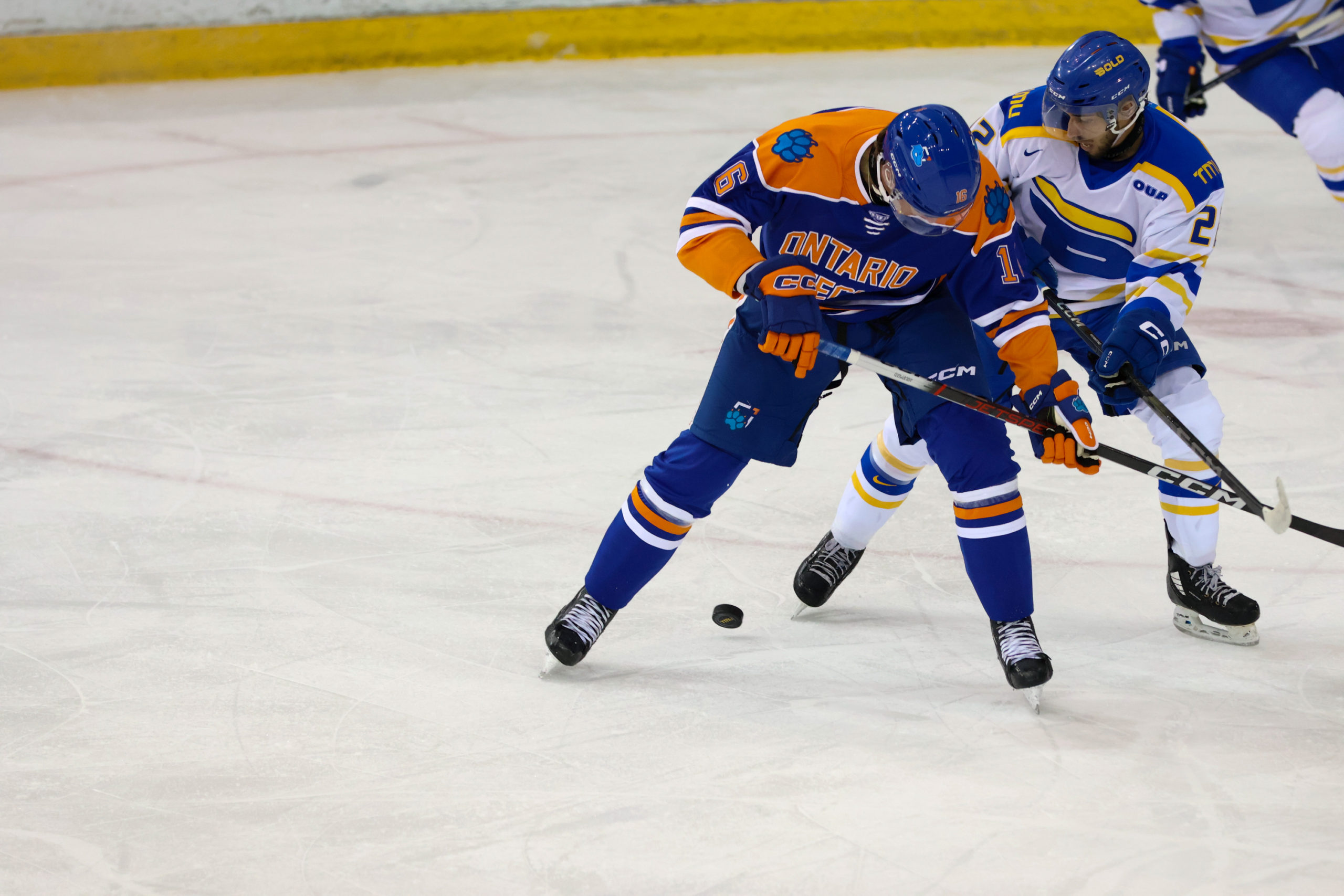 Two opposing players fight for puck possession