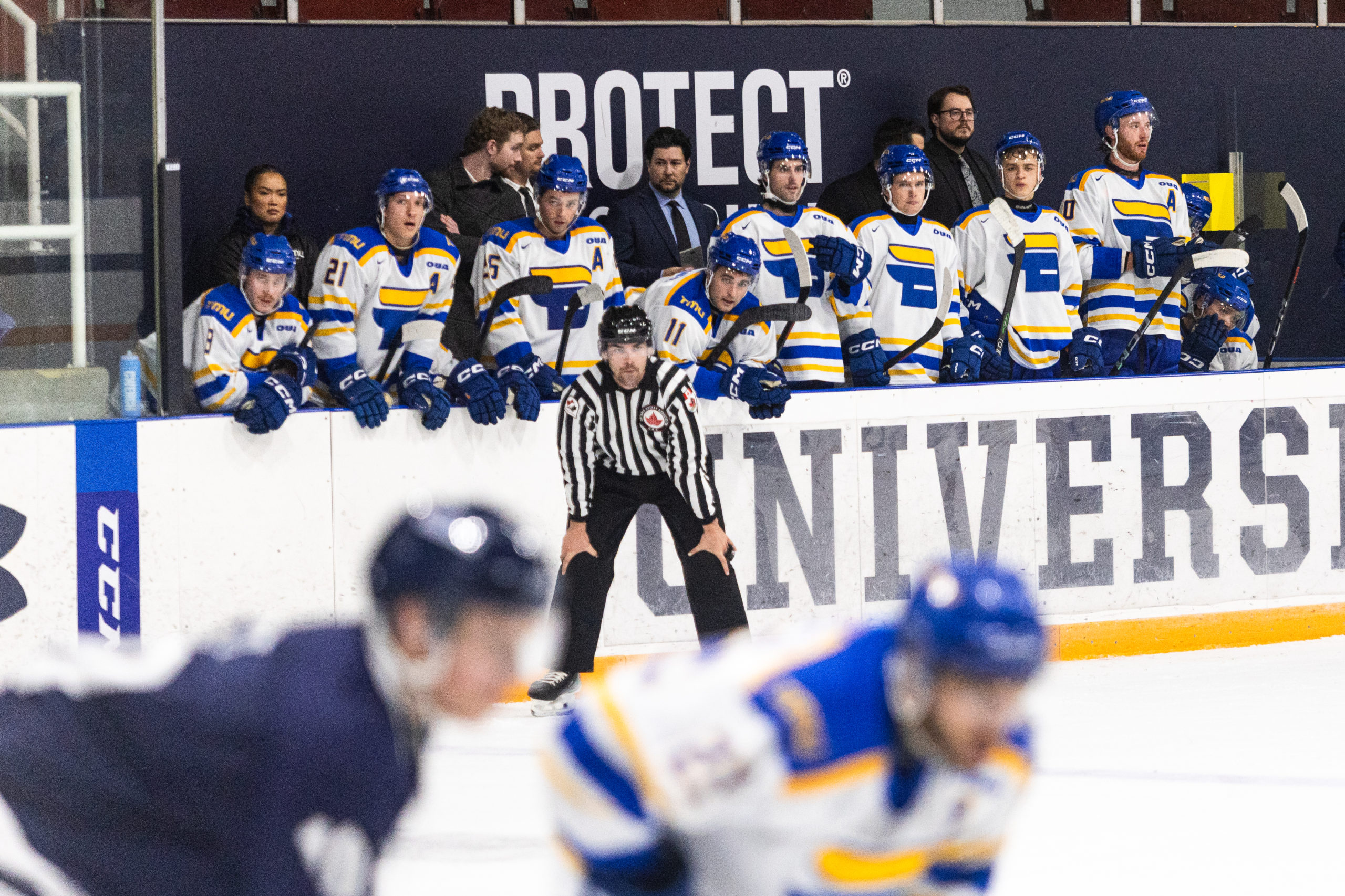 A referee standing in front of TMU's bench with a TMU and U of T player in the front of the frame out of focus