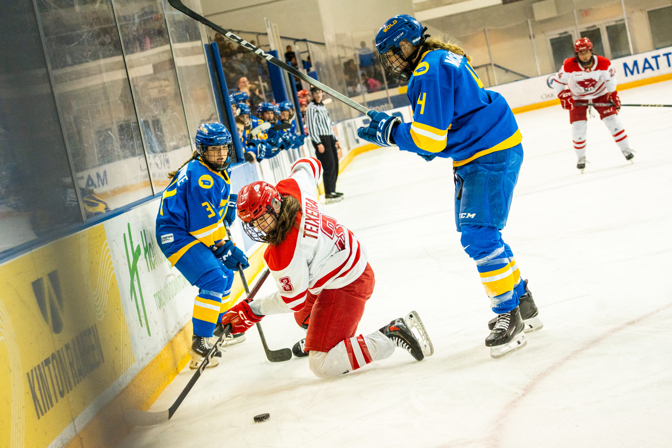 TMU and York players fight for the puck