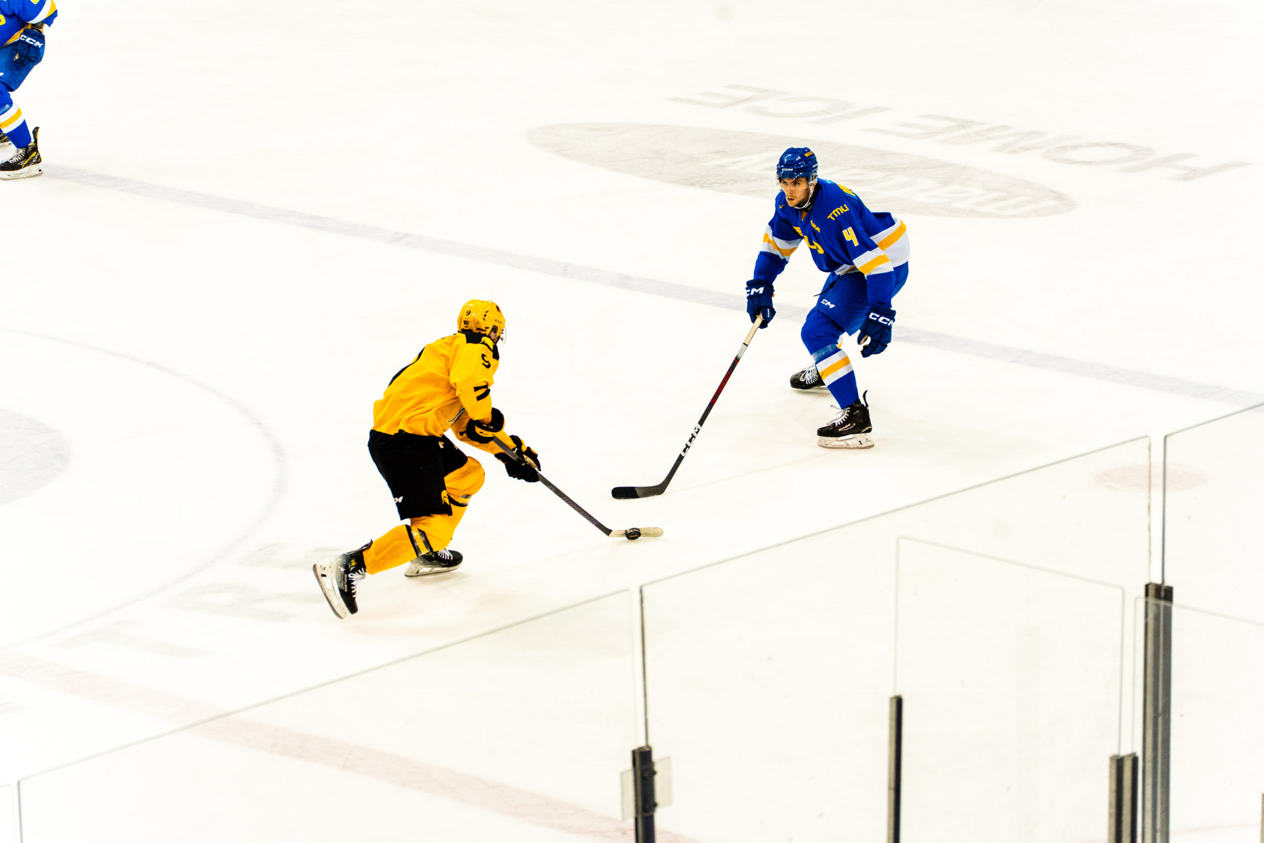 A TMU and Waterloo player fight for possession