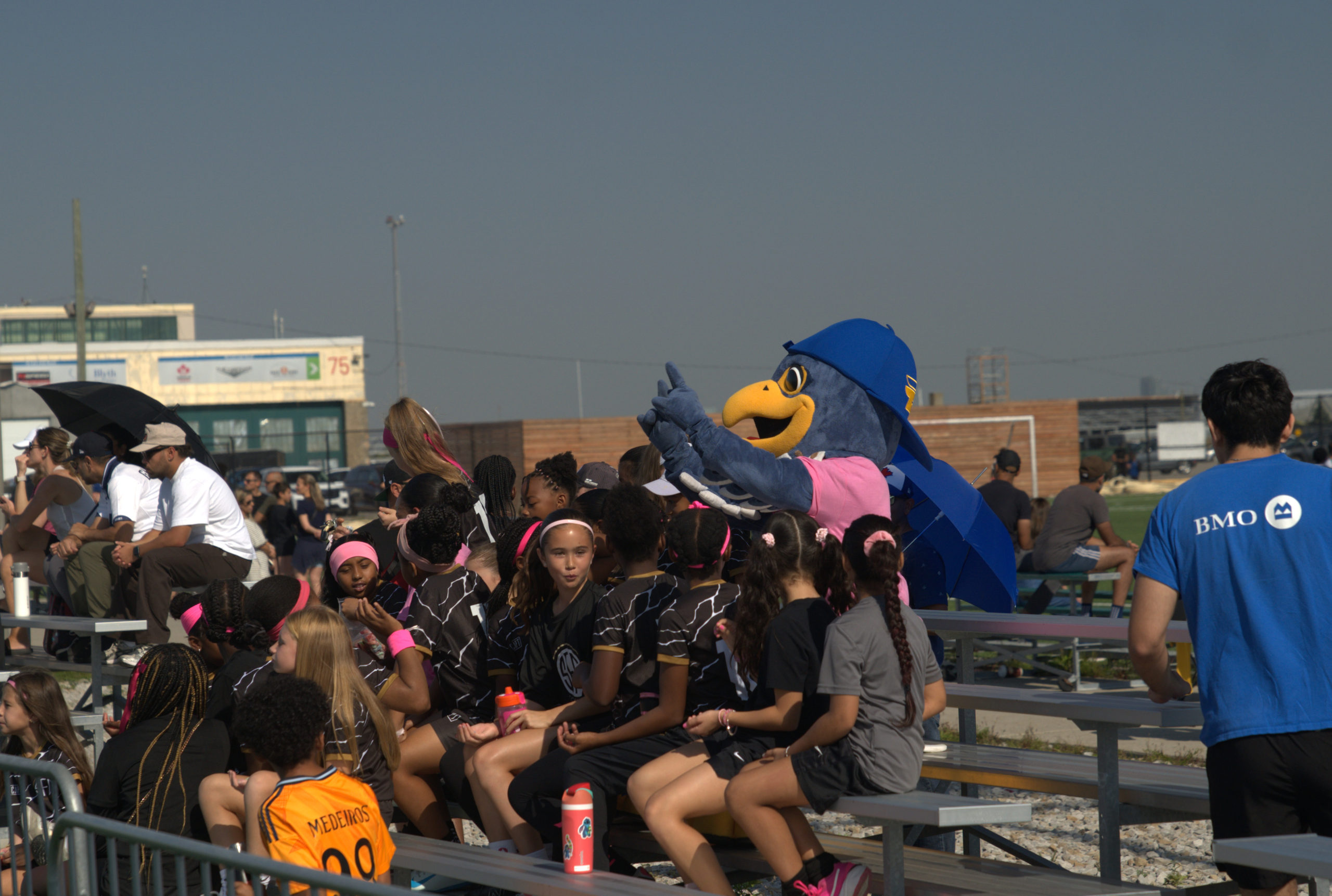 Frankie the Falcon and fans cheer on TMU in the stands