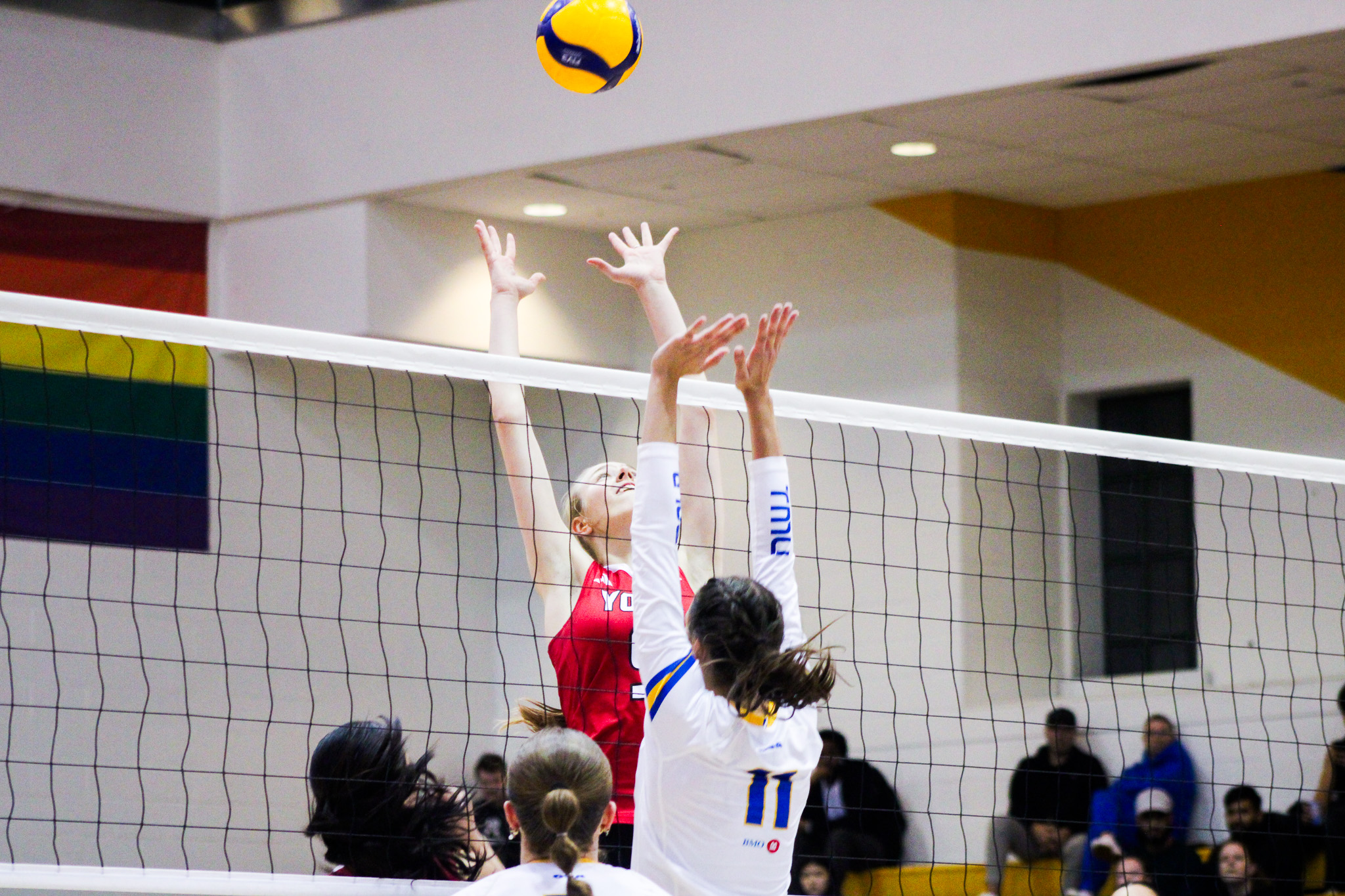 TMU player going up for a block against a York hitter