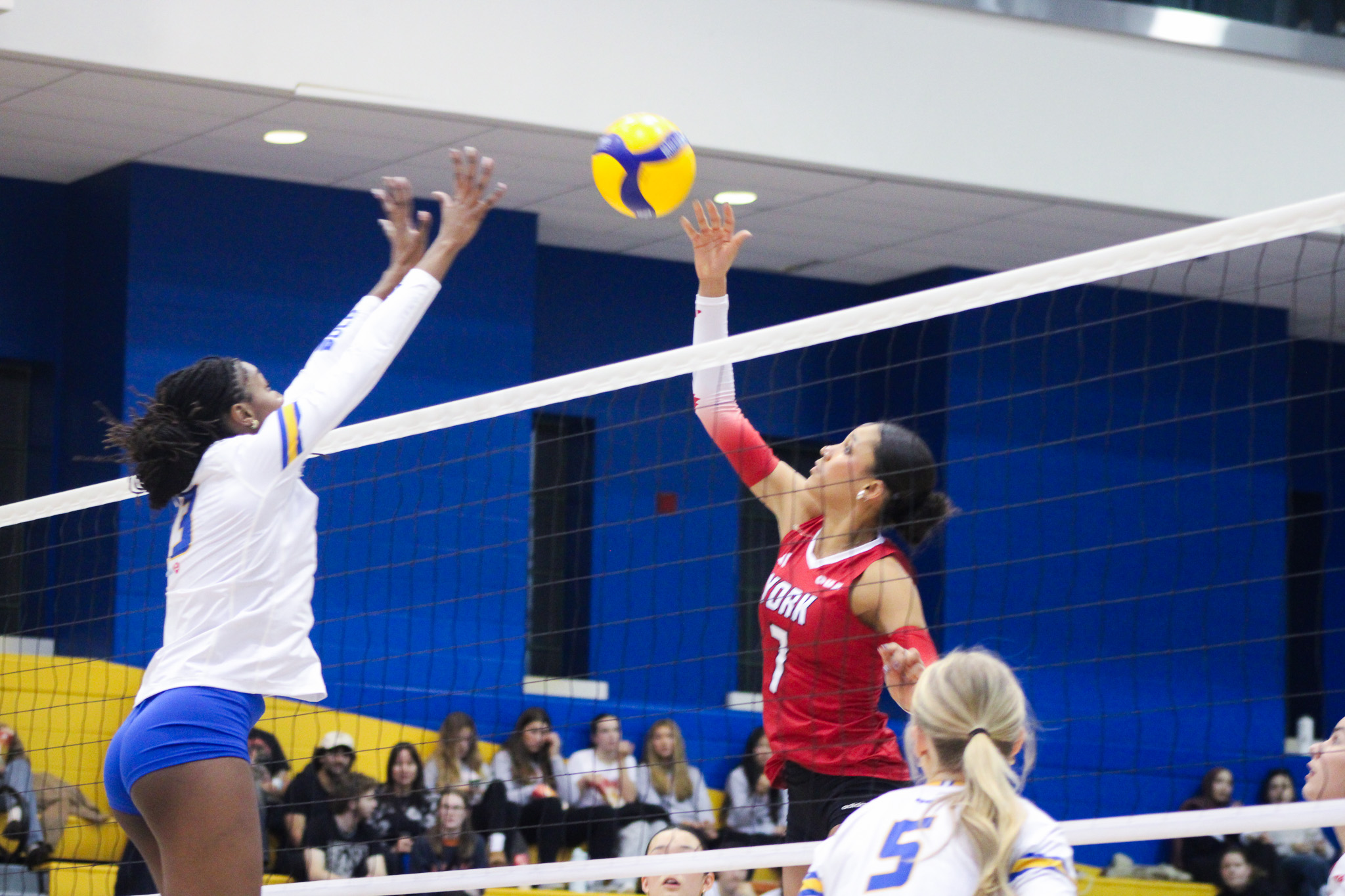 TMU player going up for a block against a York hitter