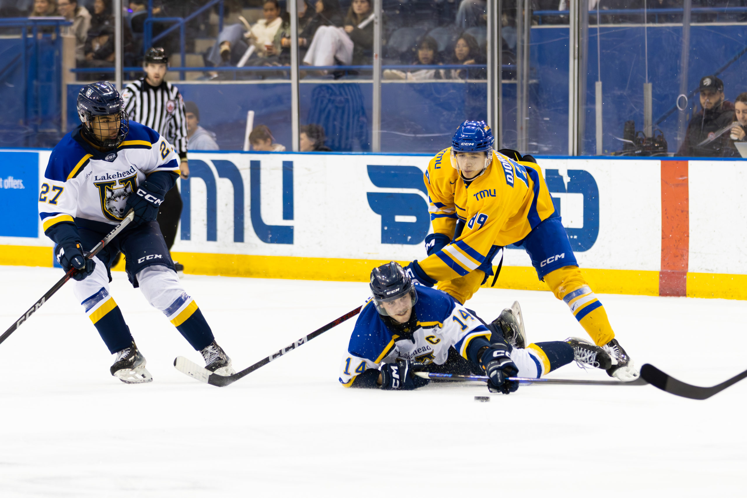 TMU tries to defend an aggressive Lakehead
