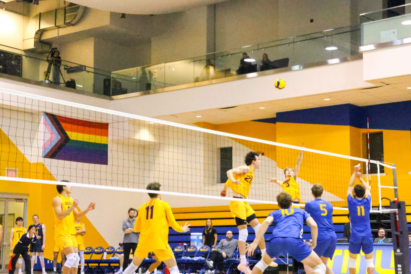 Queen's prepares to make a kill