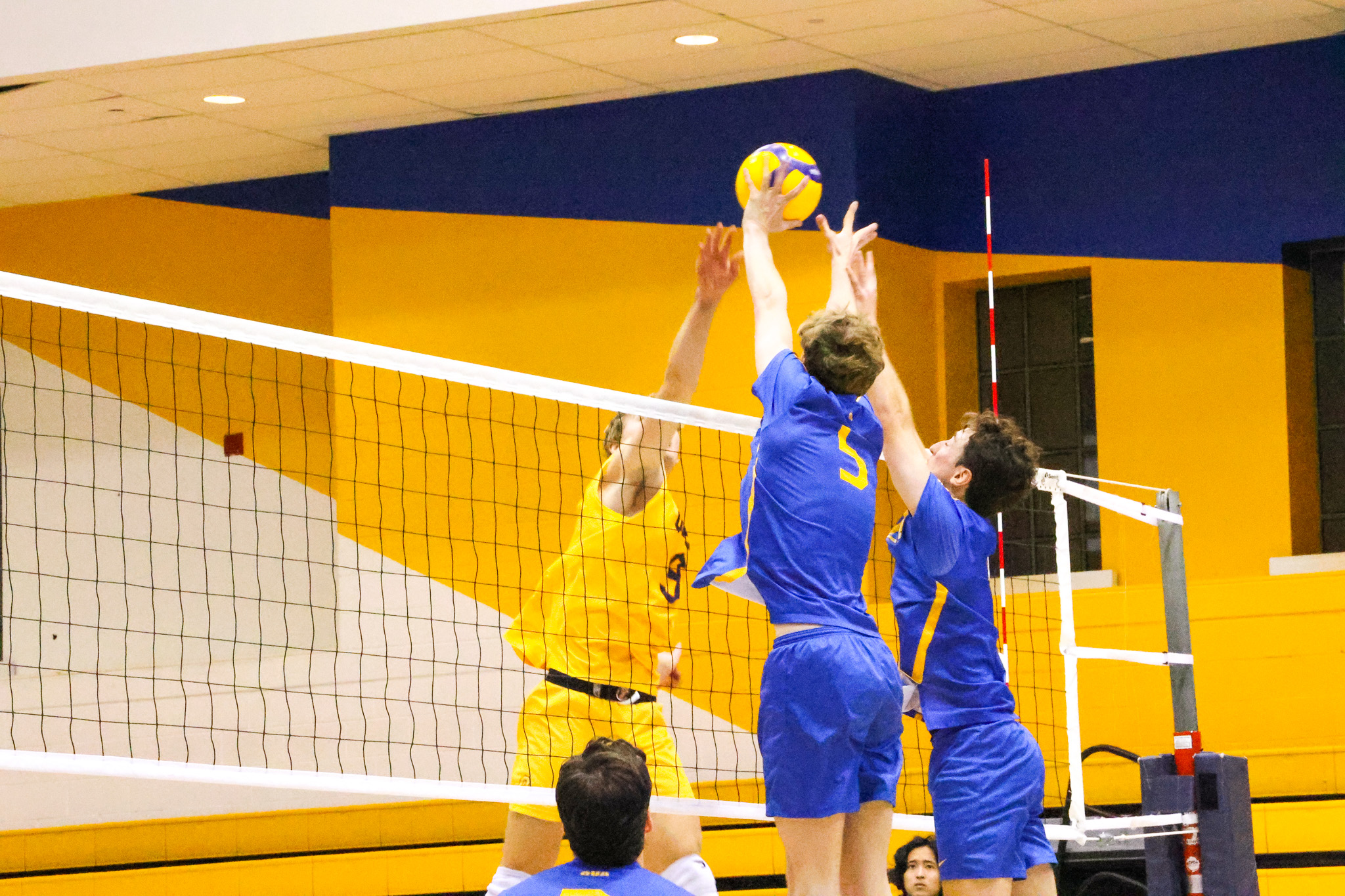 TMU attempts to block