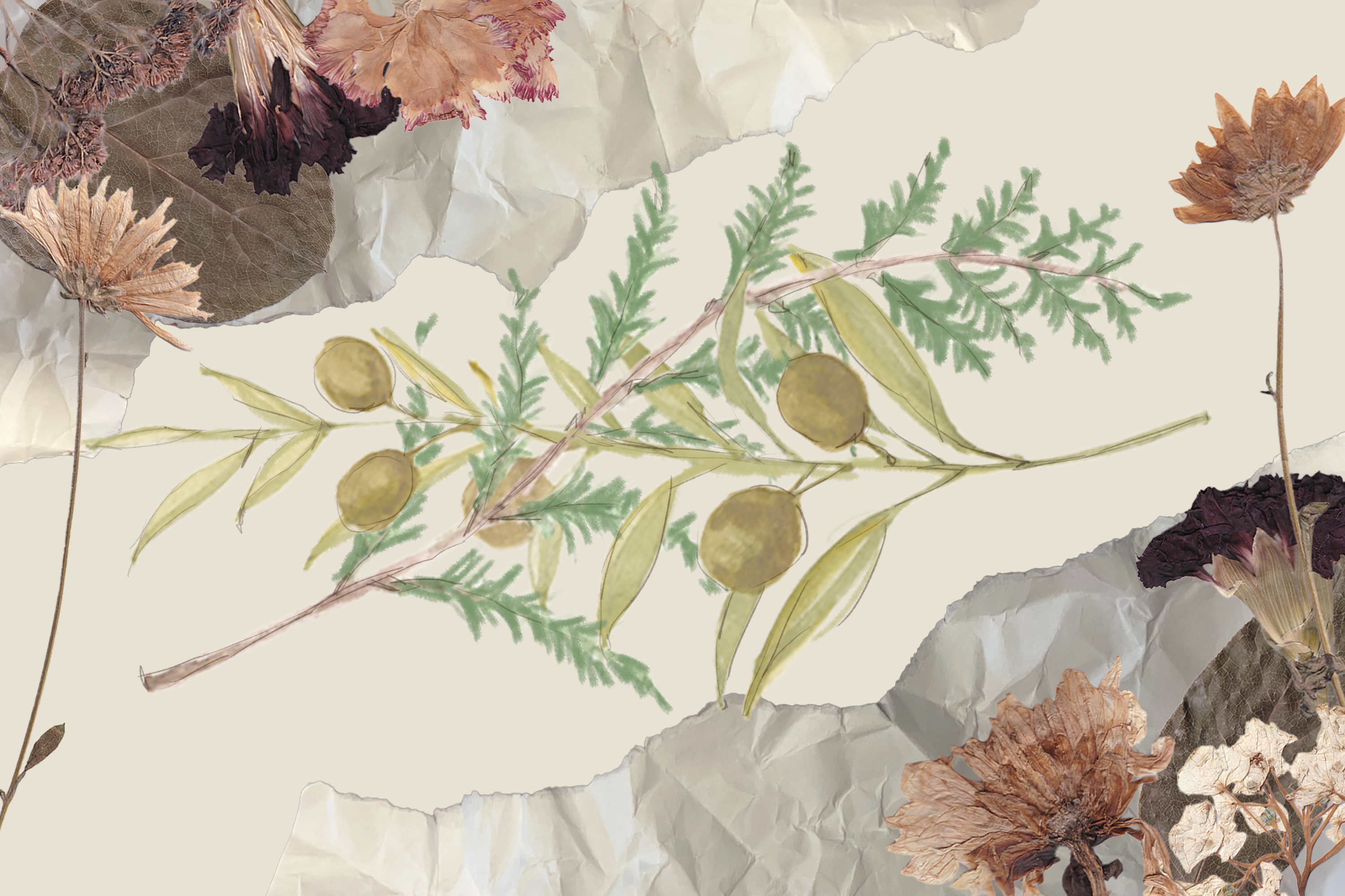 “You are a reason to live:” A letter to the land, from Turtle Island to Palestine