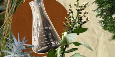 Collage of cedar, sweetgrass, sage and tobacco along with a beaker on a white background with a paper texture. There is an orange circle behind the beaker.