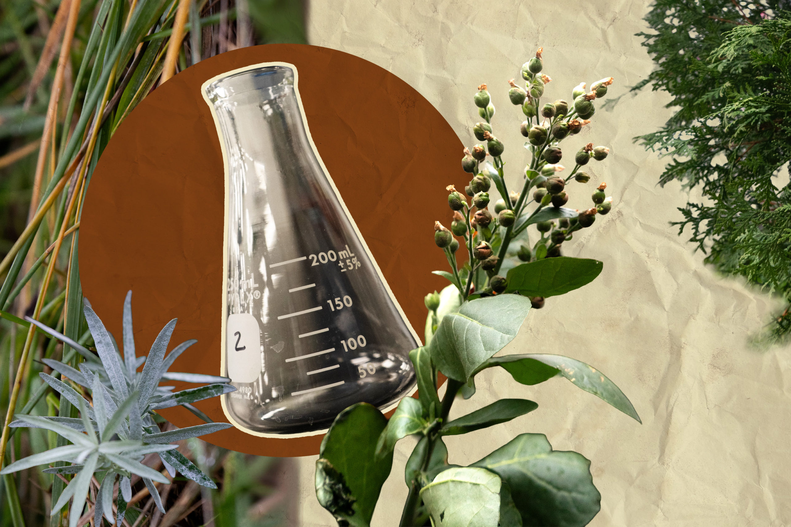 Pulling from the STEM