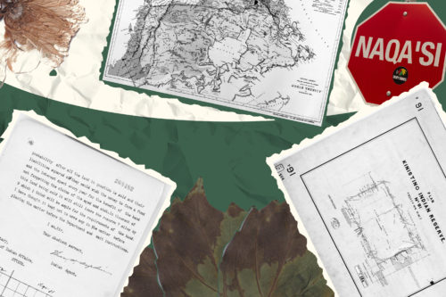 Collage of different documents scattered in the frame on a green background along with a stop sign on the top right side and a pressed flower on the top left side.