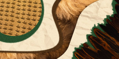 Collage of different textiles cut out around a crumpled piece of paper.