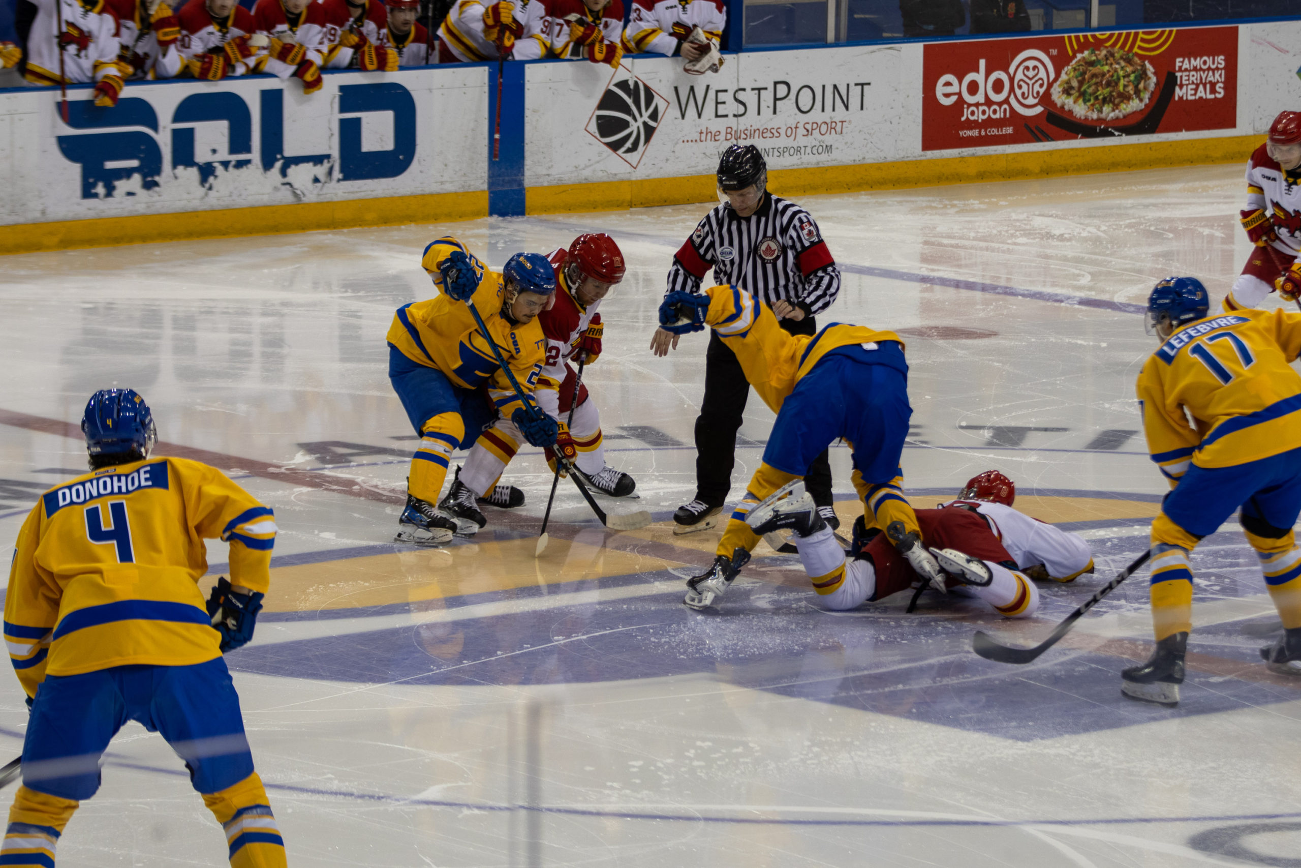 TMU and Guelph meet at a face-off point