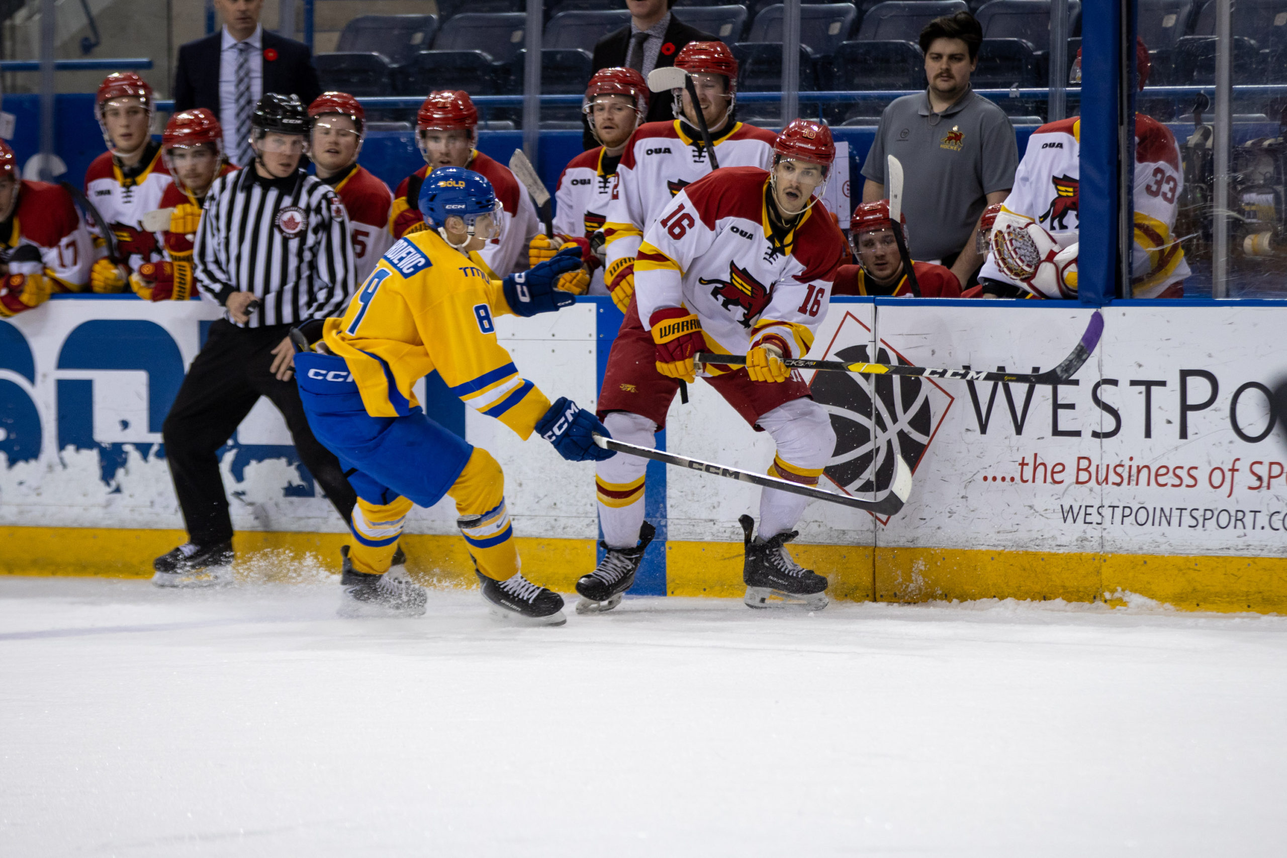A TMU player tries to block a Guelph player