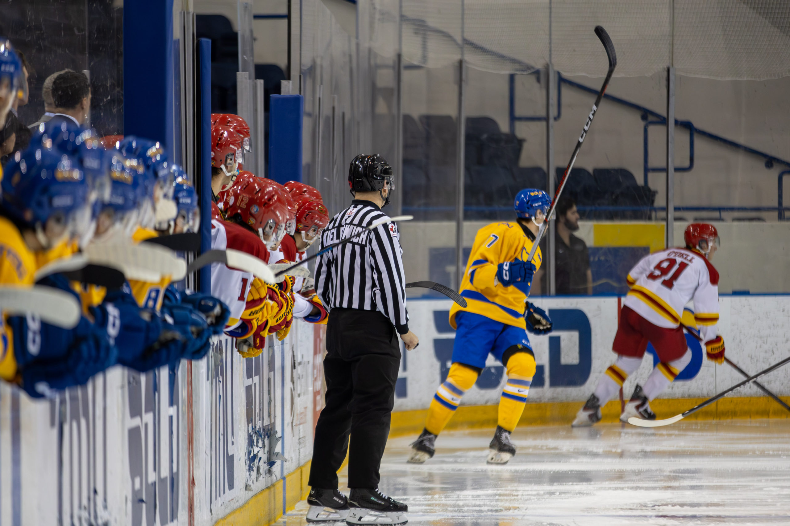 The TMU and Guelph benches look toward the ice