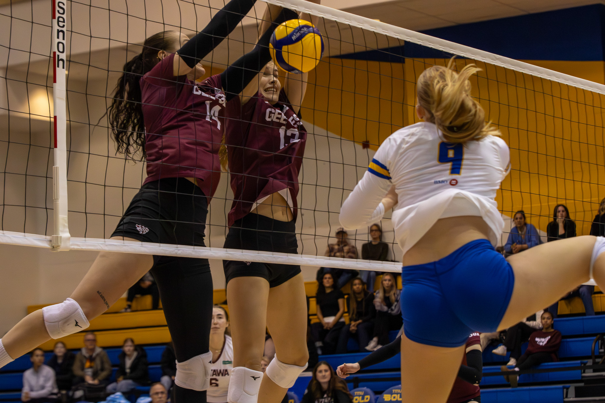 Gee gees successful block