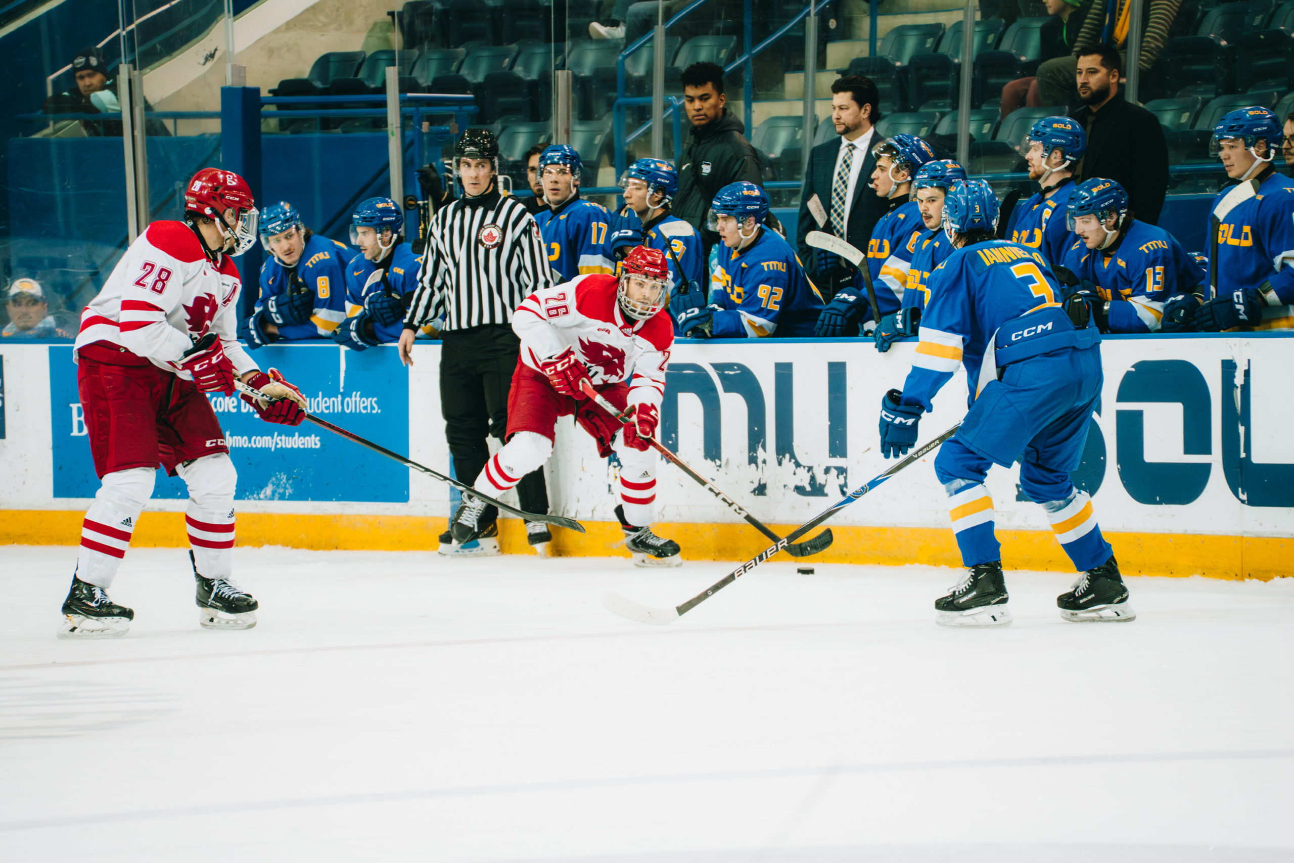 A York player controls possession of the puck amidst a TMU defender