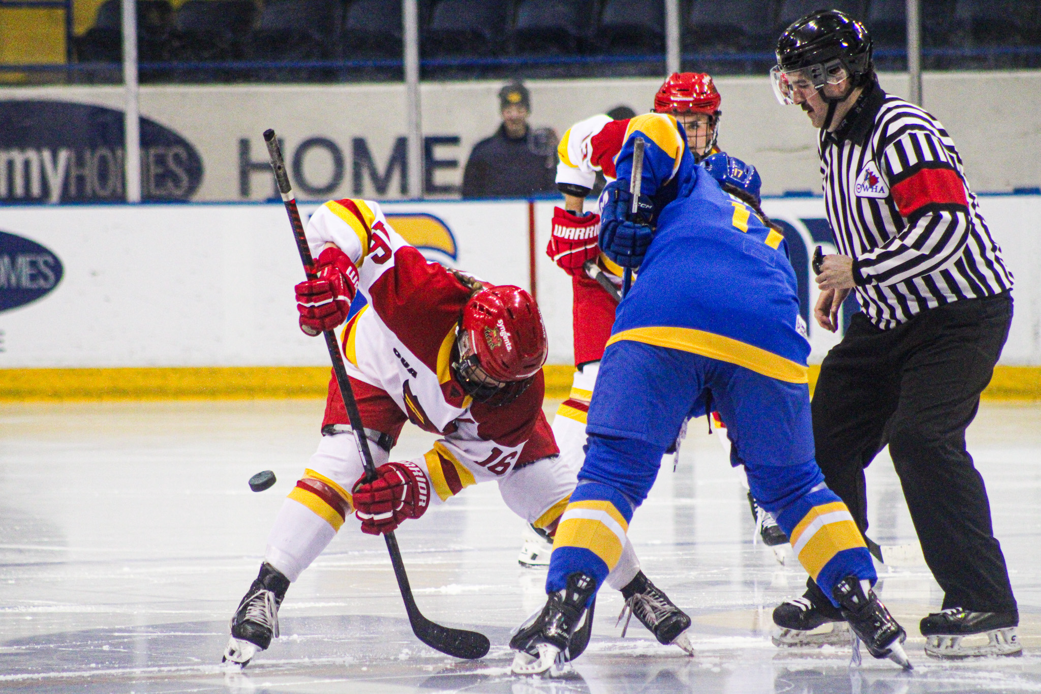 TMU and Guelph face-off, both trying to gain possession
