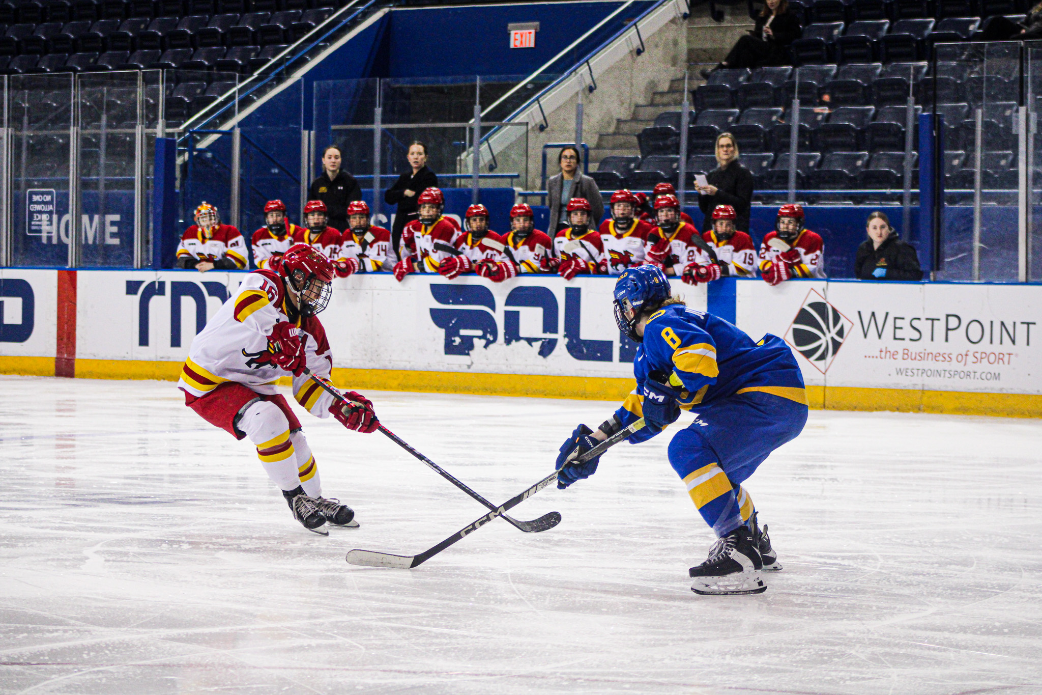 TMU and Guelph face each other on the ice