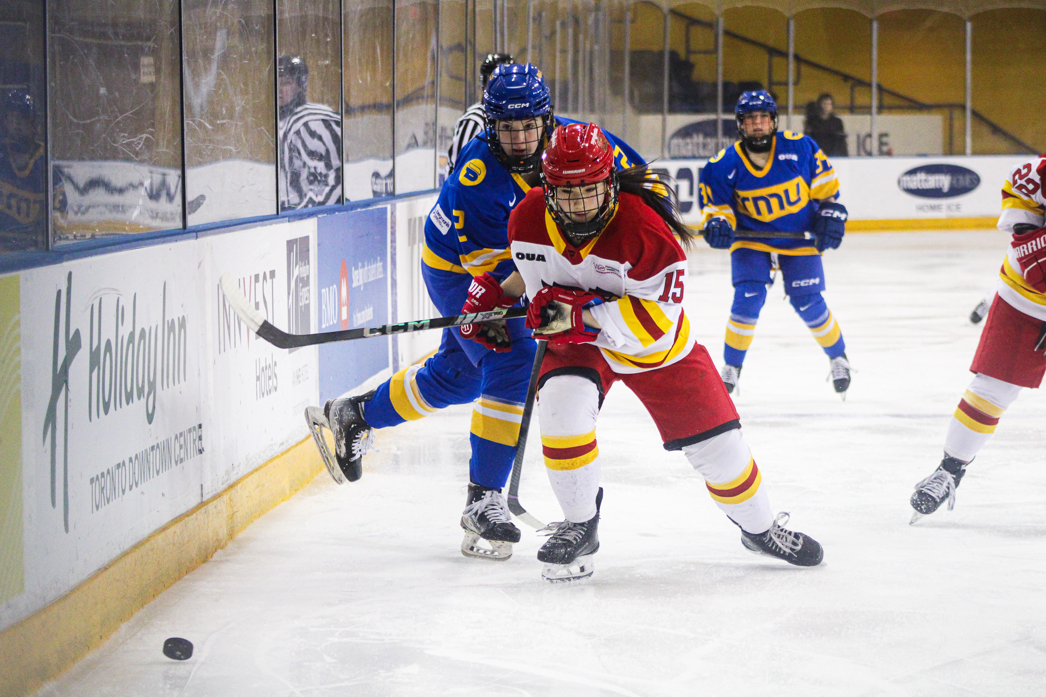 TMU and Guelph both rush to the puck along the boards