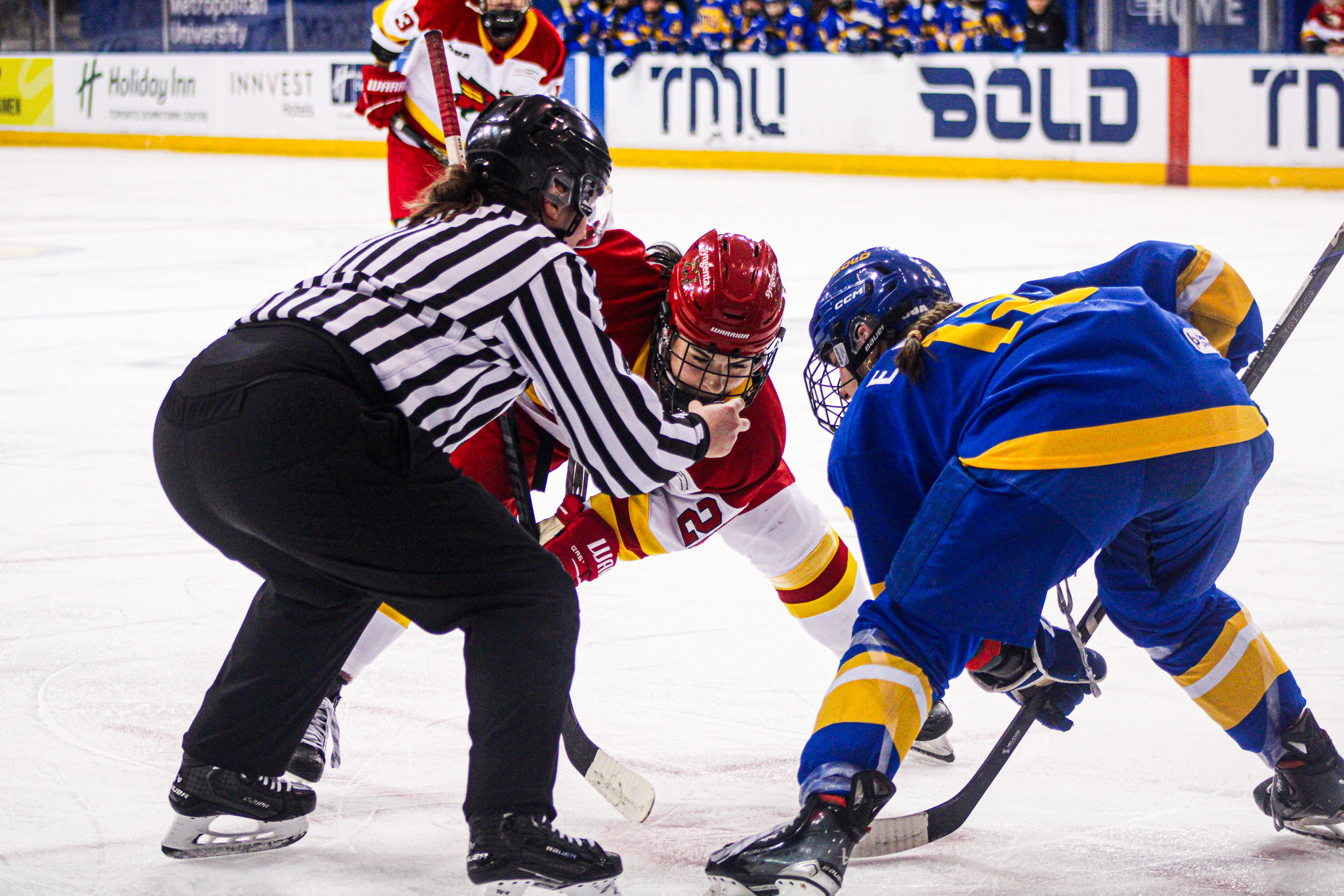 TMU and Guelph face-off