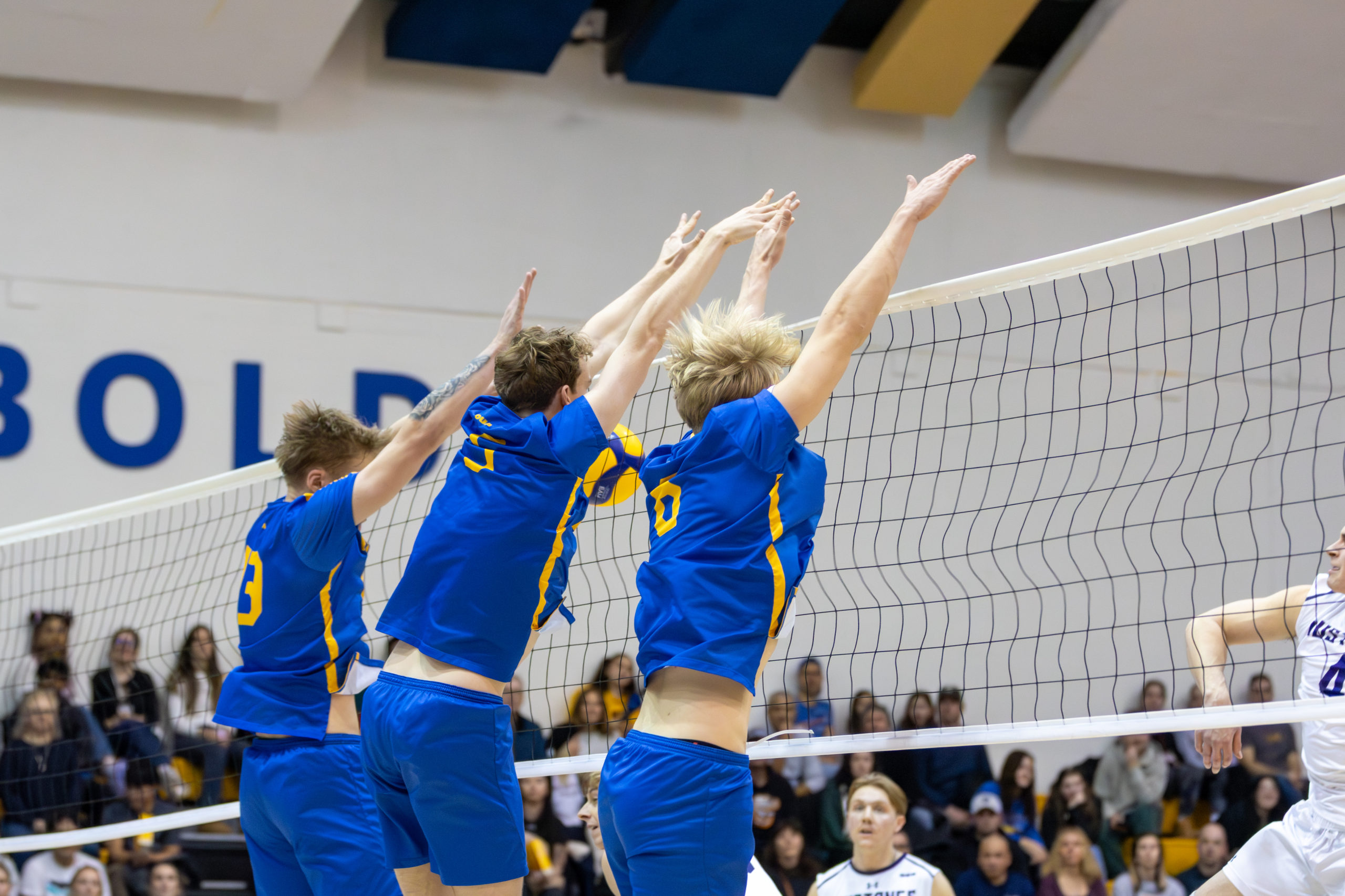 TMU players go for a block