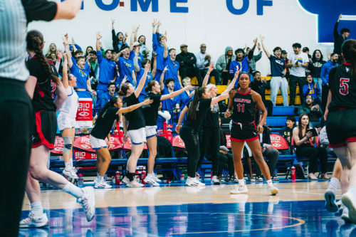 TMU's bench erupts in celebration after a basket