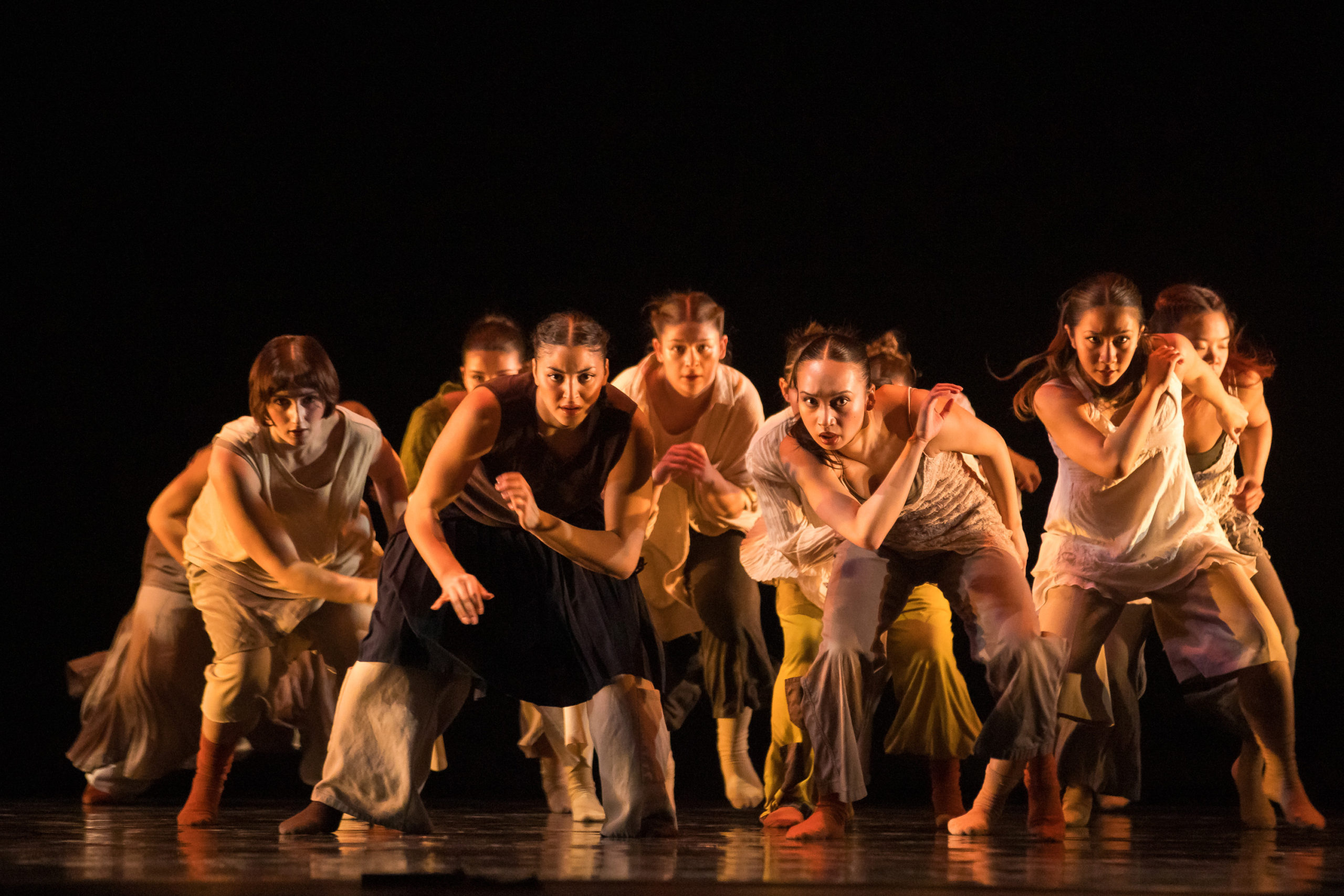 A group of dancers performing together low to the ground, being hit by warm lighting.
