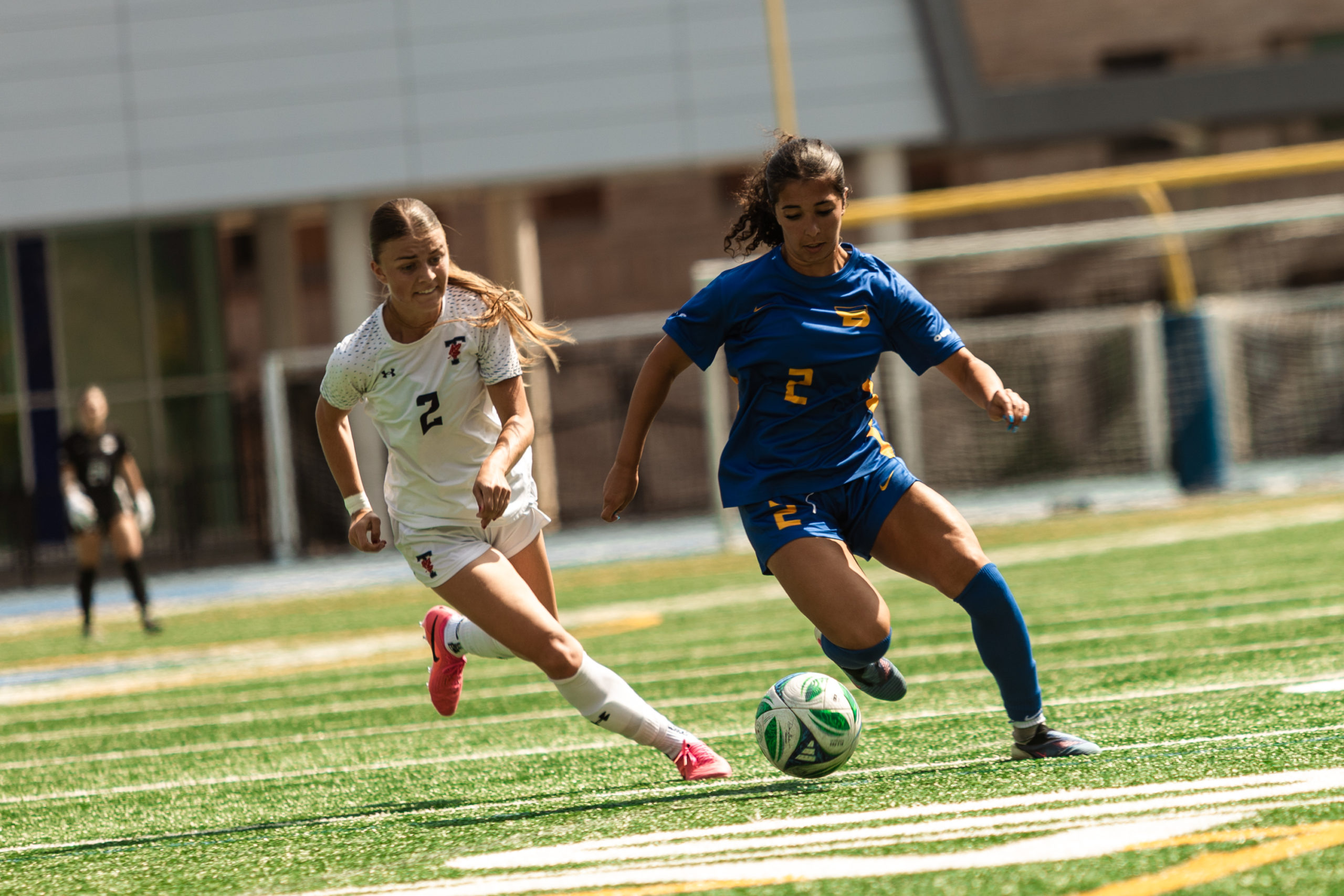 Two soccer players compete for the ball.