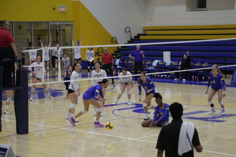 Lakehead volleyball players as TMU concedes a point