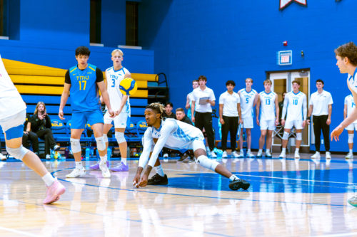 TMU men's volleyball player preparing to dig