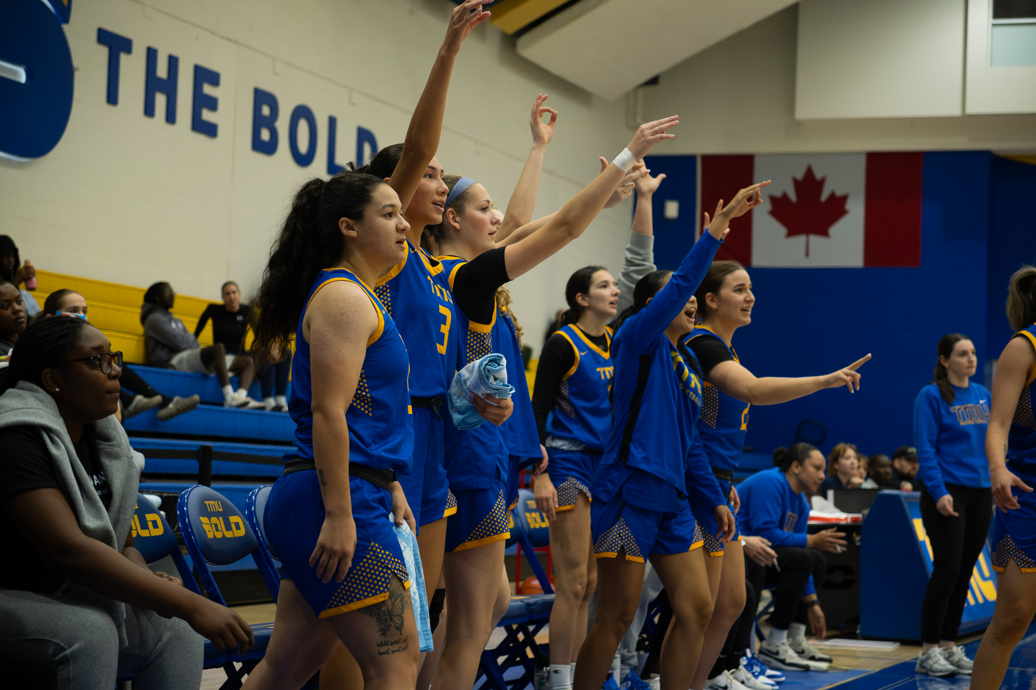TMU Bold women's basketball bench celebrating