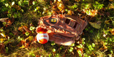 A baseball glove and ball on the ground covered in leaves