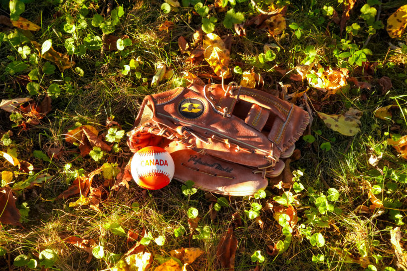 A baseball glove and ball on the ground covered in leaves