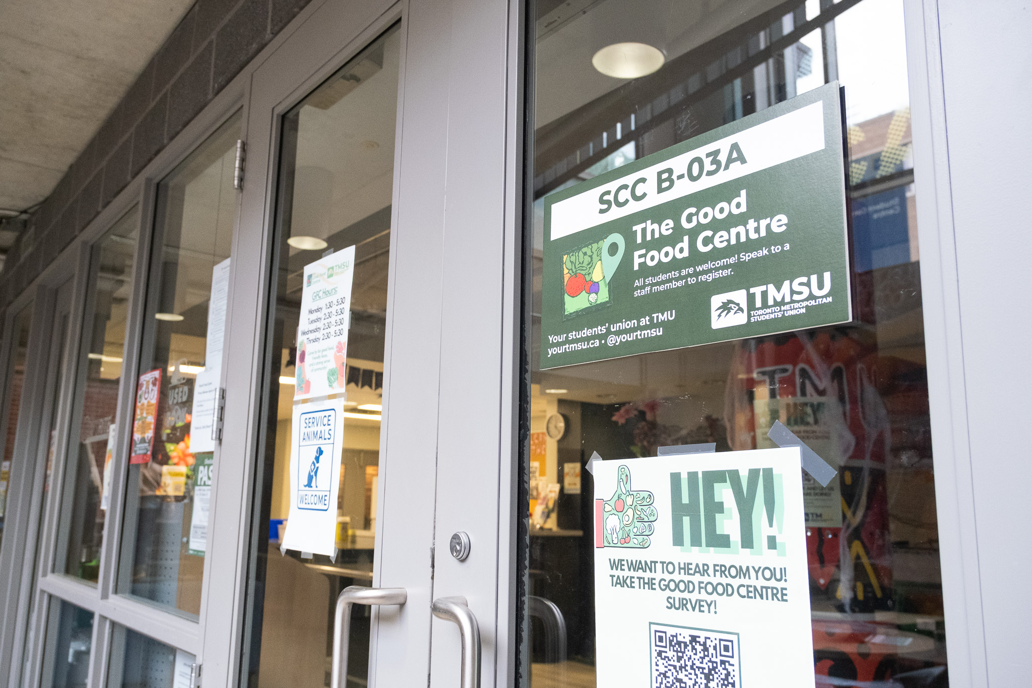 Nearly half of TMU students have experienced food insecurity in the past year, report finds